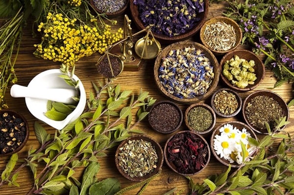 گیاهان دارویی و طب سنتی مشهد