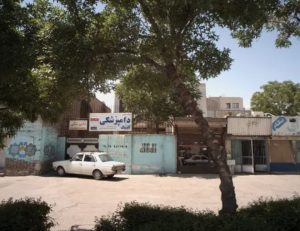 کلینیک دامپزشکی شفا رشد