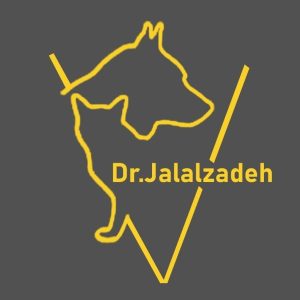 پت شاپ پتی نو